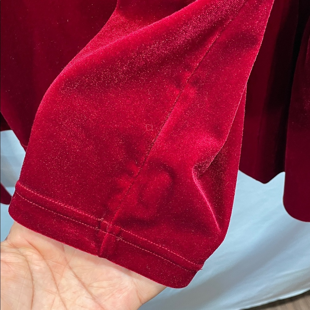 Torn by Ronny Kobo Crimson Velvet Blouse - Picture 11 of 13